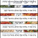 Jewish blessing for food